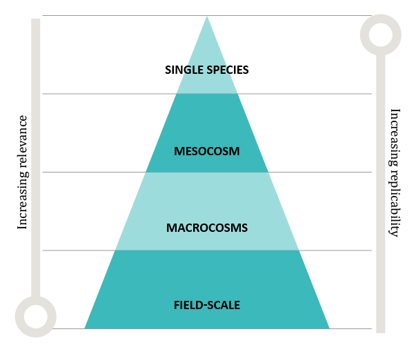 Ecological assessment triangle